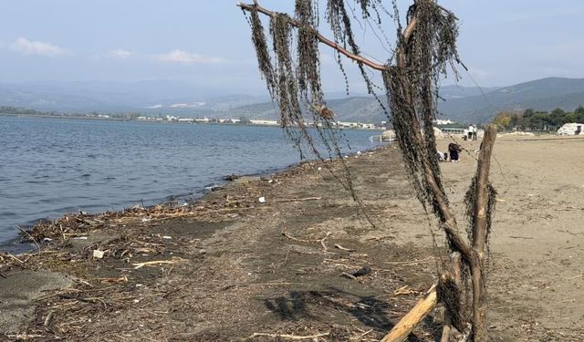 Bursa İznik Gölü'nde endişelendiren görüntü: Sular nereye gidiyor?