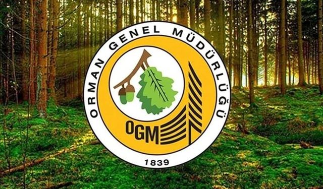 Orman Genel Müdürlüğü 12 müfettiş yardımcısı alacak!  KPSS şartı ve sınav tarihi belli oldu