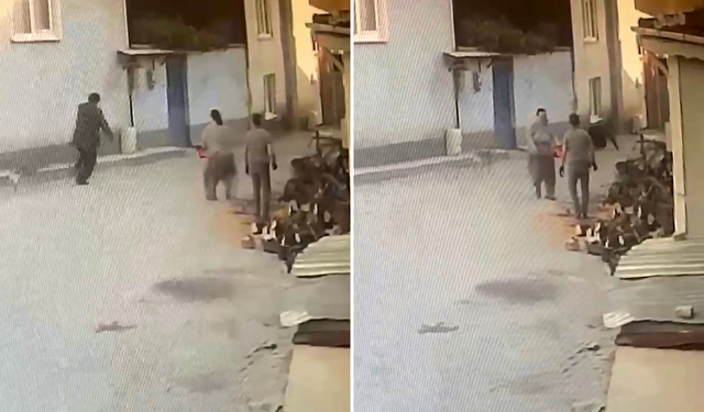 Bursa’da motorlu testereyle korkutulan 76 yaşındaki adam yere düştü