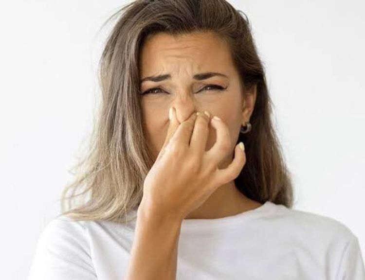 Evde kötü kokuya neden olan 5 eşya! Çoğu kişinin aklına gelmiyor