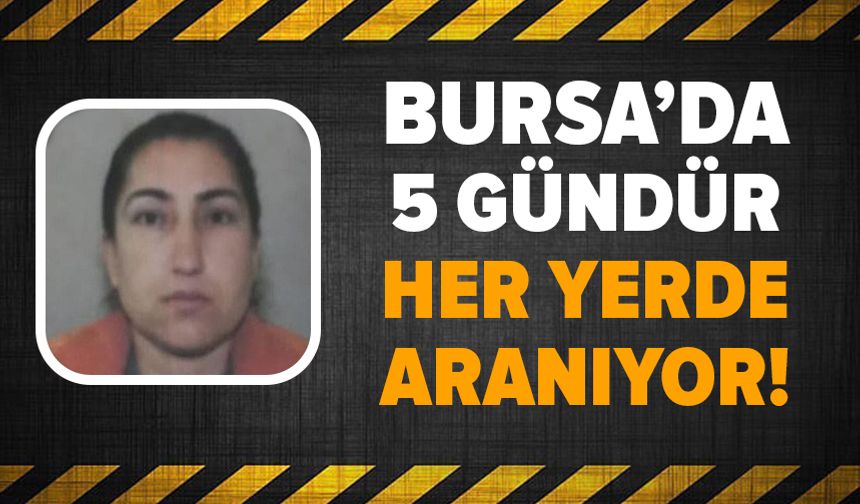Bursa'da Leyla Horo 5 gündür her yerde aranıyor