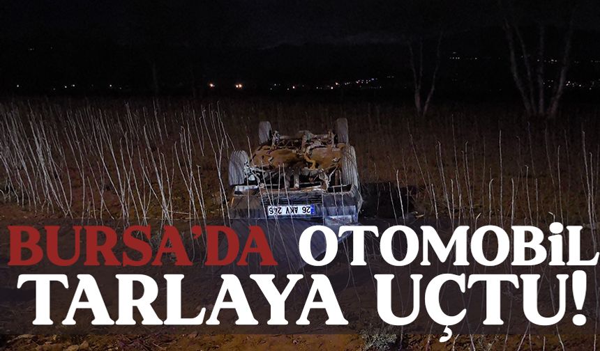 Bursa'da otomobil kontrolden çıkıp tarlaya uçtu!