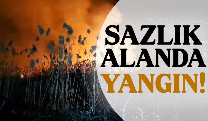 İznik Gölü sahilindeki sazlık alanda yangın!