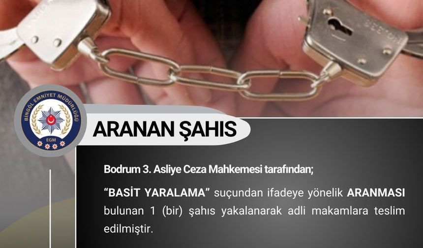 Bingöl’de çeşitli suçlardan aranan 11 kişi yakalandı