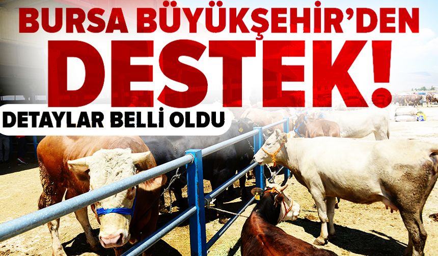 Bursa Büyükşehir Belediyesi’nden ihtiyaç sahibi emeklilere Kurban Bayramı desteği