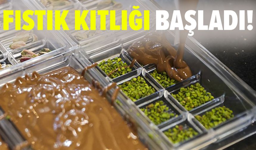 Dubai çikolatasının faturası: Fıstık kıtlığı başladı