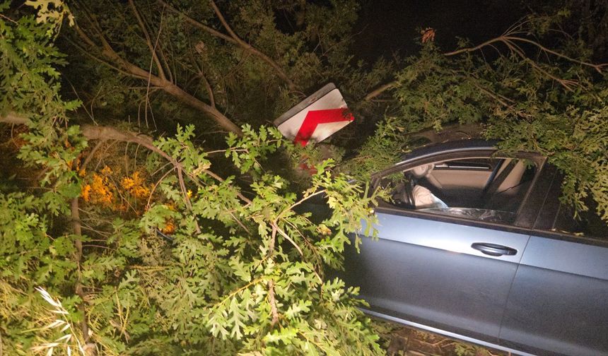 Bursa'da trafik kazası!
