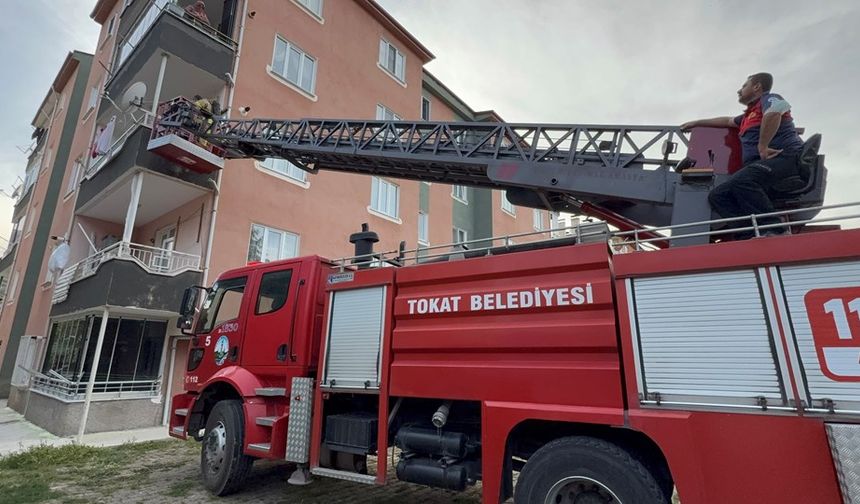 Fare kovma yöntemi hastanelik etti