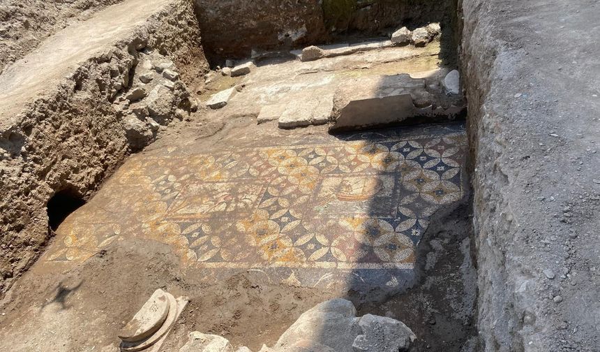 Arkeologlar İznik'te ortaya çıkan dev mozaiğin motiflerini araştırıyor
