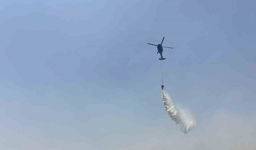 Mardin’de orman yangınına havadan ve karadan müdahale sürüyor