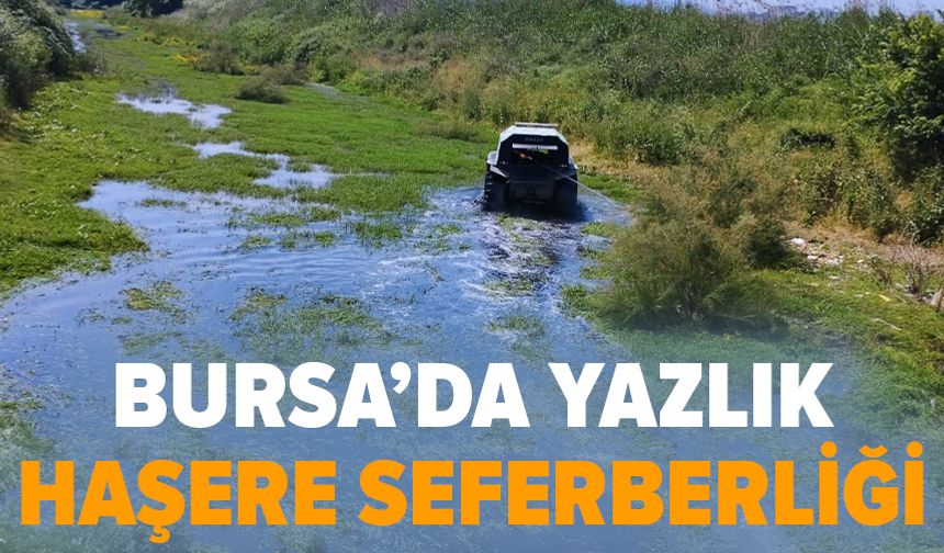 Bursa’da haşereyle üç koldan mücadele