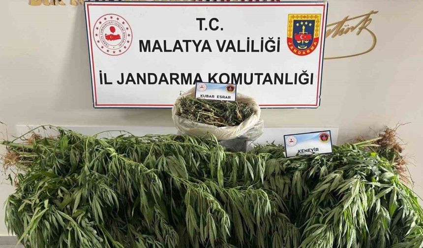 Malatya’da jandarmadan uyuşturucu operasyonu