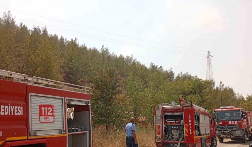 Nizip Belkız Köyü mesire alanında yangın