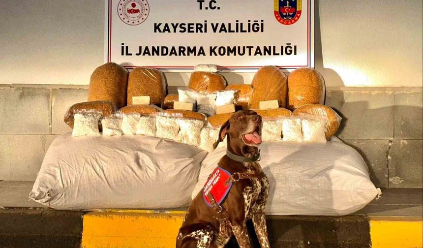 Otobüste 450 kilogram kaçak tütün ele geçirildi