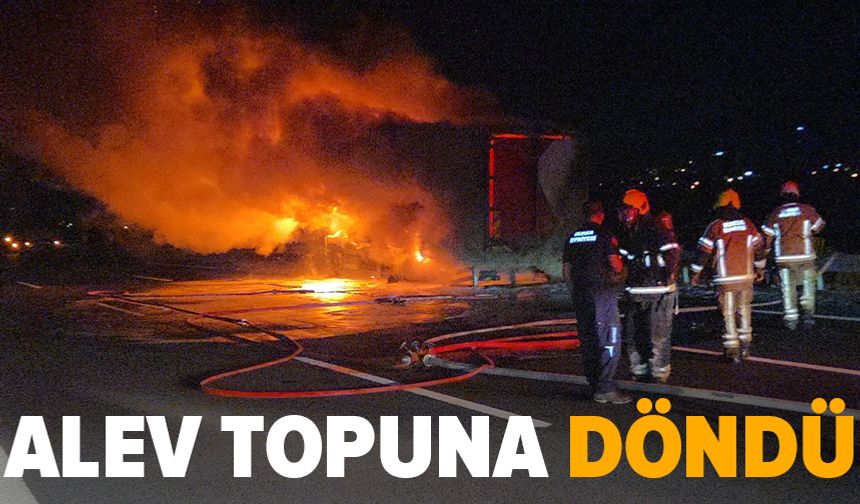 Bursa'da kargo kamyonu otoyolda alev aldı