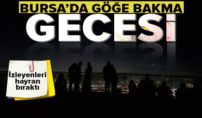 Bursalılar, meteor yağmurunun tadını çıkardı