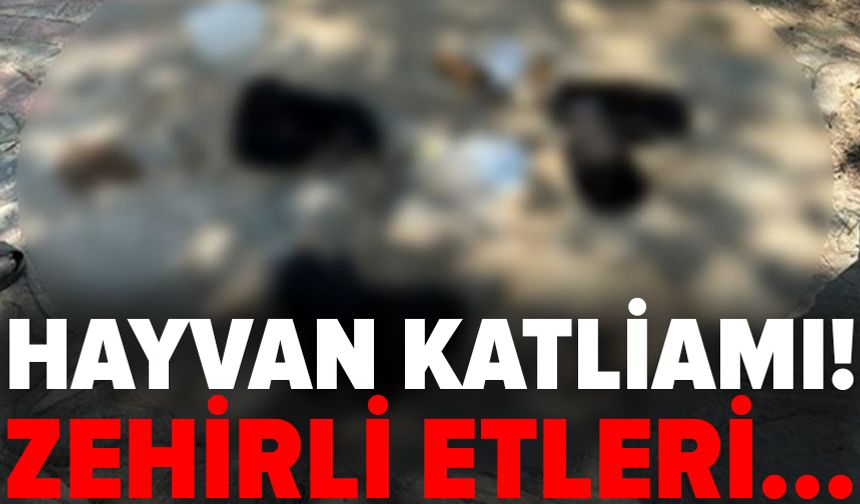 Hayvan katliamı: Zehirli etleri çocuklara dağıttırmış