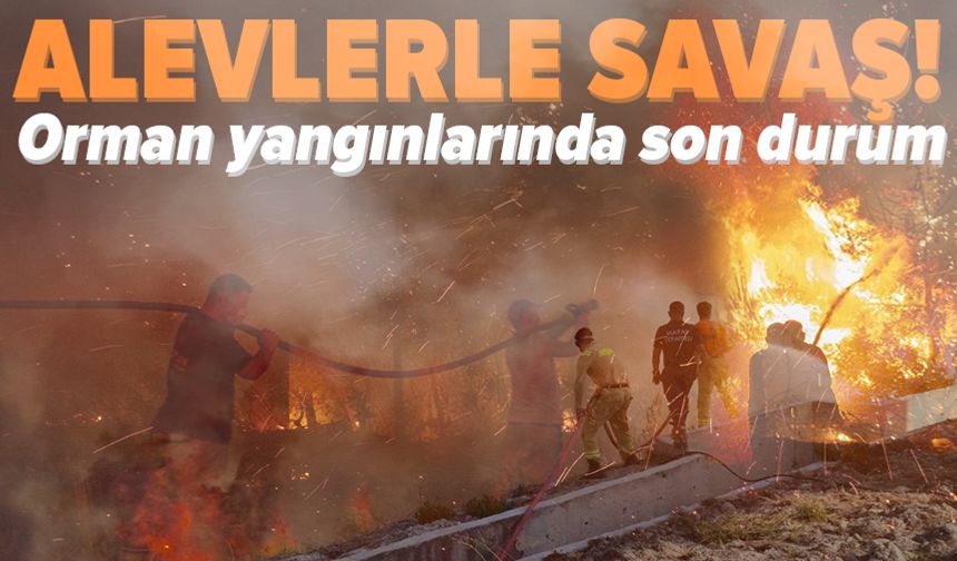 Orman yangınlarında son durum: İzmir'de iki yangın başladı