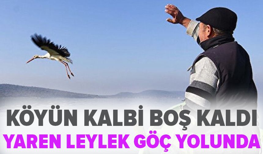 Bursa'nın simgesi Yaren leylek bu yıl erken göç etti