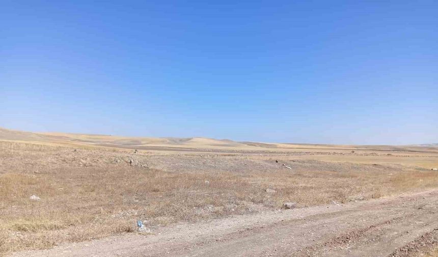 Ankara’daki bacanak cinayetinde 10 yıllık husumet iddiası