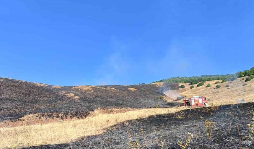 Aşkale Güneyçam Köyü’nde anız yangını: 100 dönüm alan kül oldu