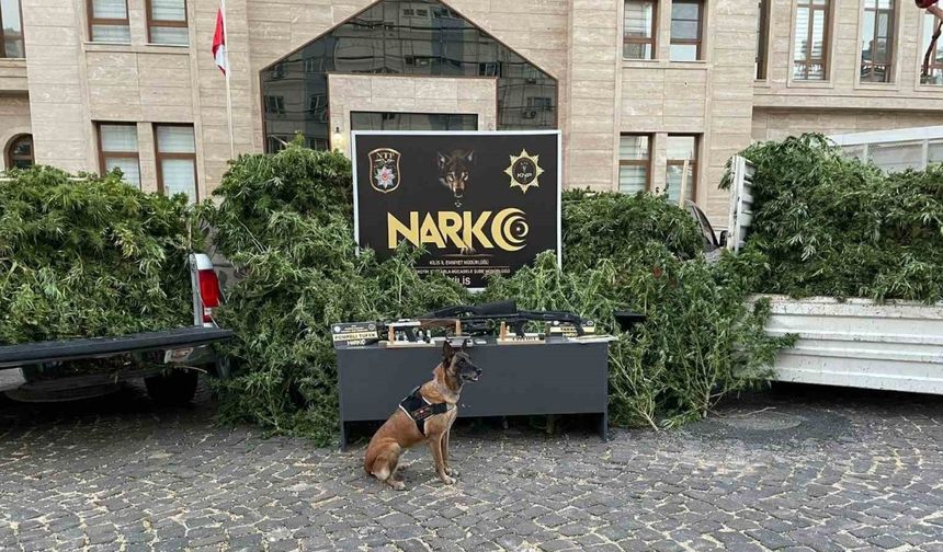 Kilis’te uyuşturucu operasyonu: 1 tutuklama