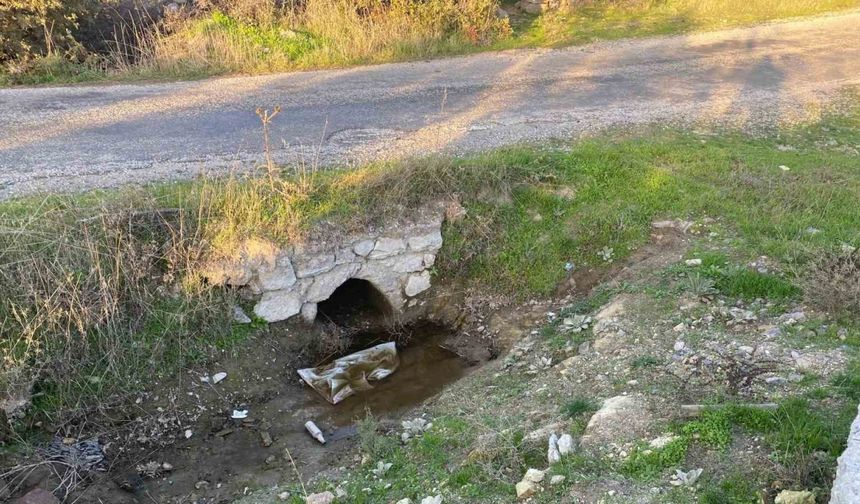 Çanakkale’de boş arazide bebek cesedi bulundu