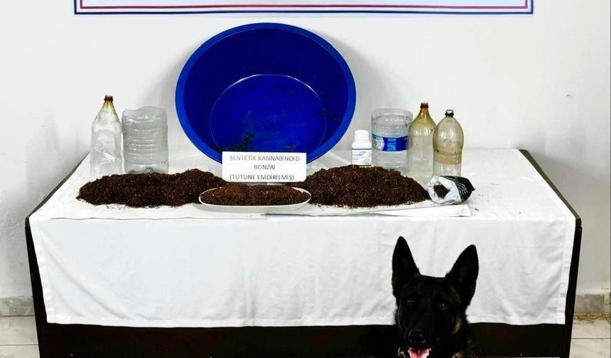 Çankırı’da uyuşturucu operasyonu: 1 gözaltı