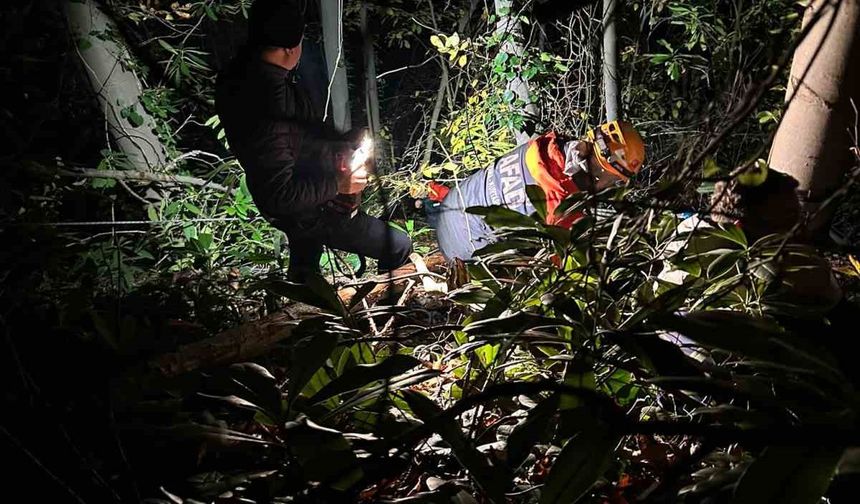 Orman işçisi için ekipler seferber oldu