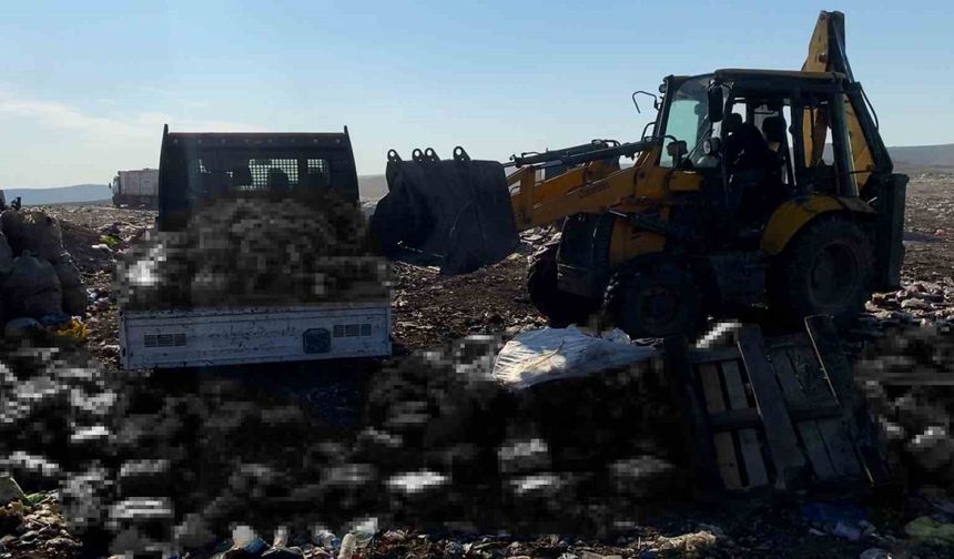 Şanlıurfa’da tarihi geçmiş 8 bin şişe meşrubat ele geçirildi