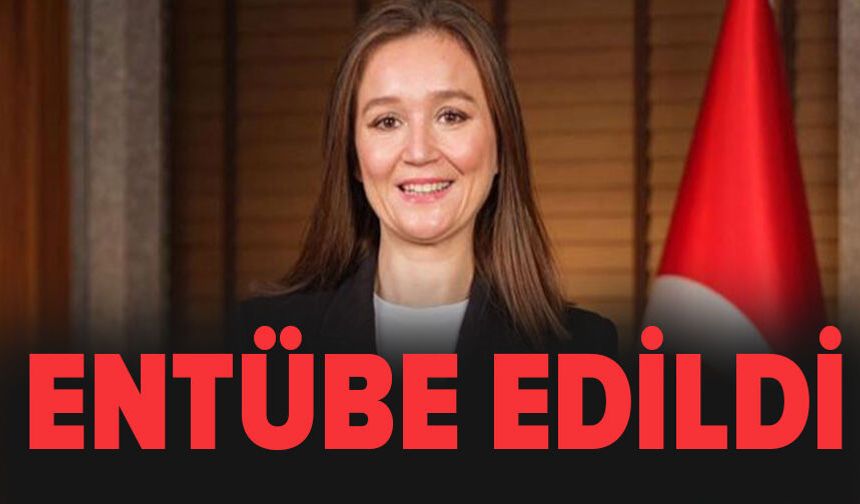 Şehzadeler Belediye Başkanı Gülşah Durbay entübe edildi