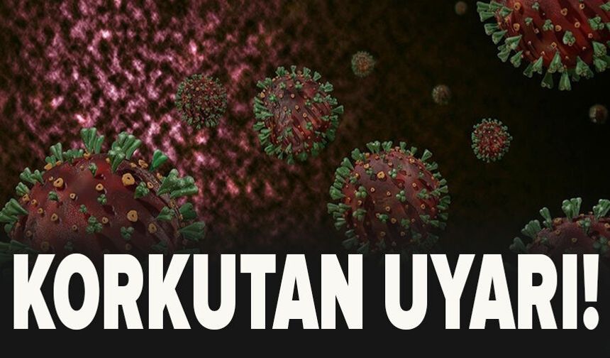 Dünya Sağlık Örgütü uyardı!