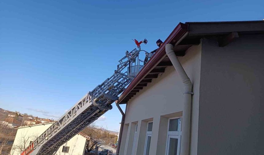 Çorum'da binanın çatısında mahsur kalan kediyi itfaiye ekibi kurtardı