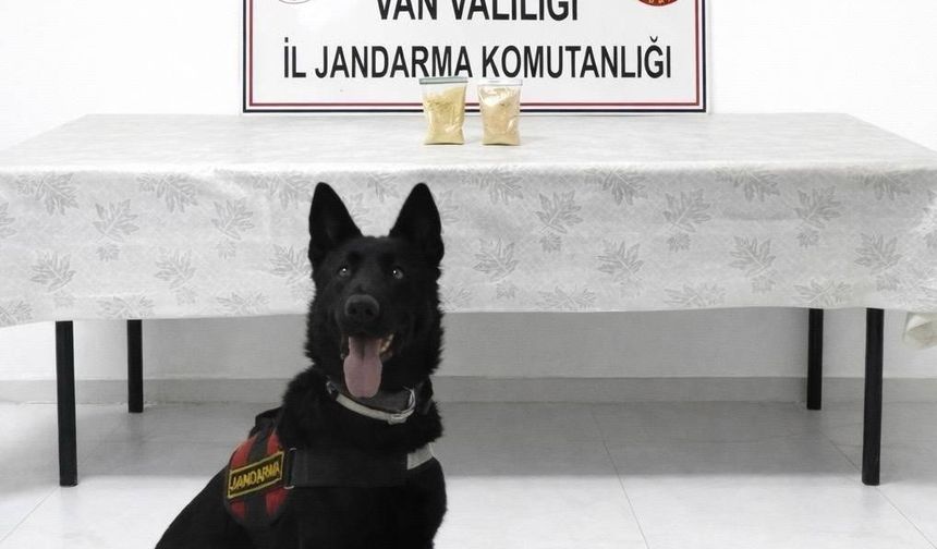 İranlı şahıs üzerinde 510 gram eroin ele geçirildi.