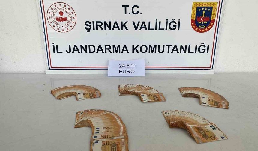 Şırnak'ta jandarmadan kaçakçılığa büyük darbe