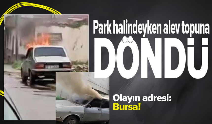 Bursa'da park halindeki otomobil alevlere teslim oldu