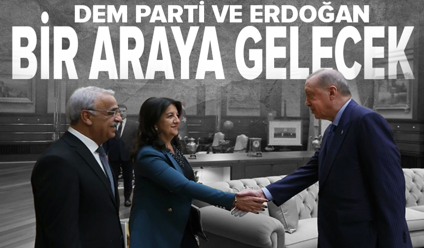 İmralı Heyeti, Erdoğan'la görüşecek