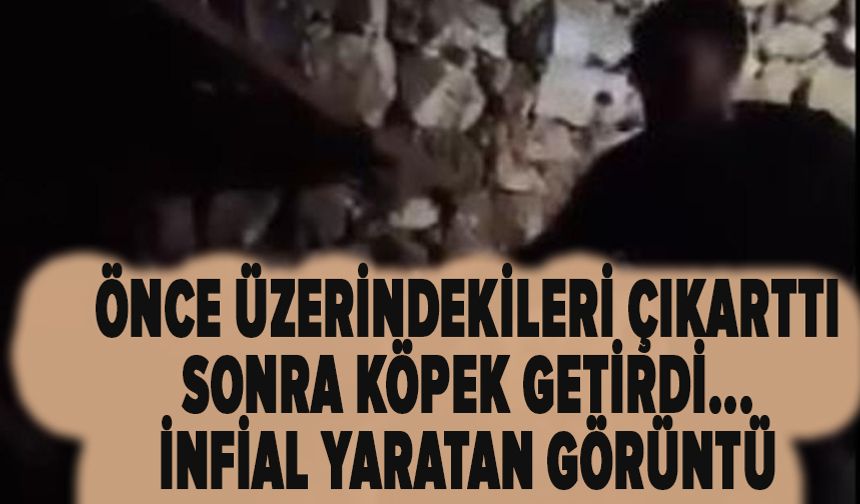 Önce üzerindekileri çıkarttı, sonra köpek getirdi... İnfial yaratan görüntü