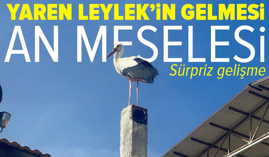 Yaren leyleğin eşi Leylek köyündeki yuvaya geldi