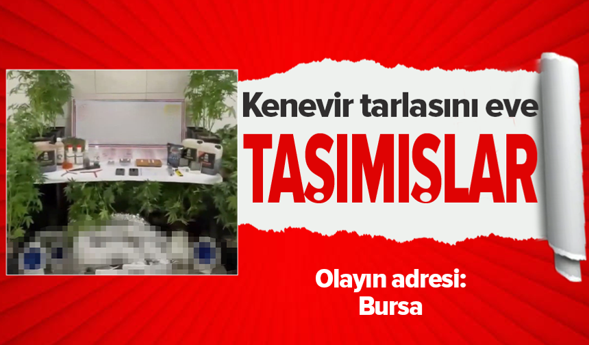 Jandarmadan operasyon: Evde üretim düzeneği kurmuş