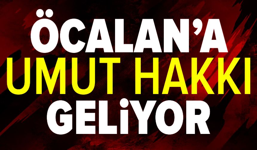 Öcalan'a Umut Hakkı geliyor mu? MHP'li Feti Yıldız: Uzlaştık