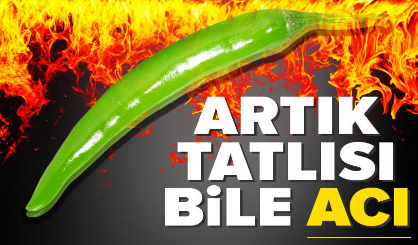 Bursa’da pazarda biber fiyatı cep yakıyor