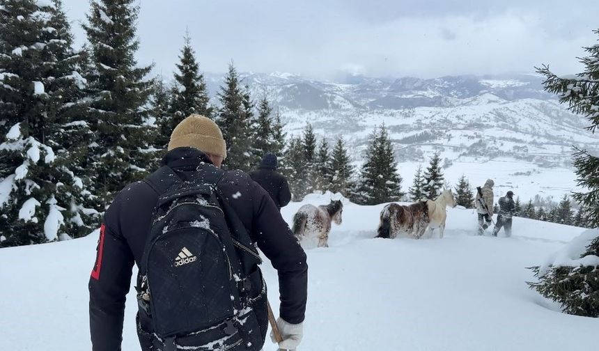 2 bin 100 rakımlı kışlada aylarca kar altında mahsur kalan atları köyün gençleri kurtardı
