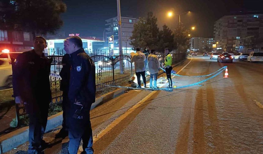 Otomobilin çarptığı yaşlı kadın hayatını kaybetti