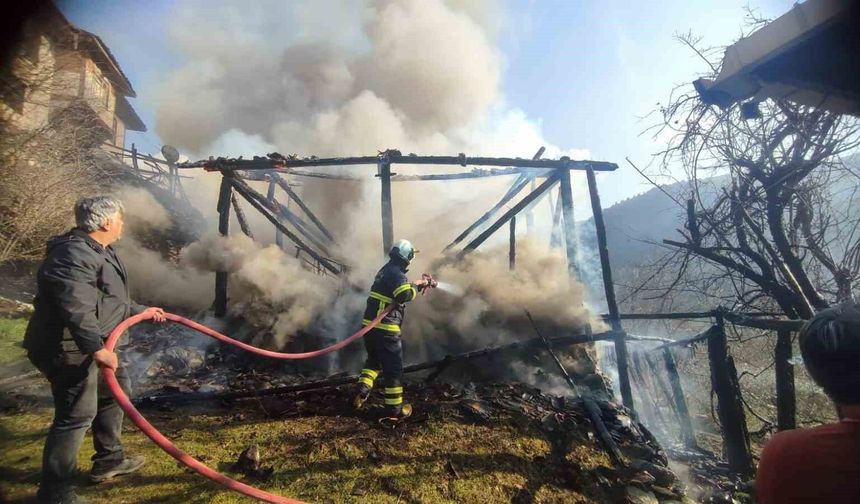 Kastamonu'da çıkan yangında samanlık kullanılamaz hale geldi