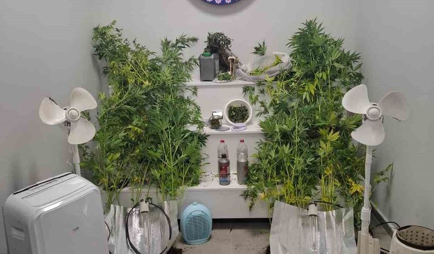 Yalova'da saklandığı evde uyuşturucu yetiştiren hükümlü yakalandı