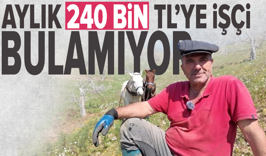 Bir vatandaş aylık 240 bin TL'ye eleman bulamadığını söyledi