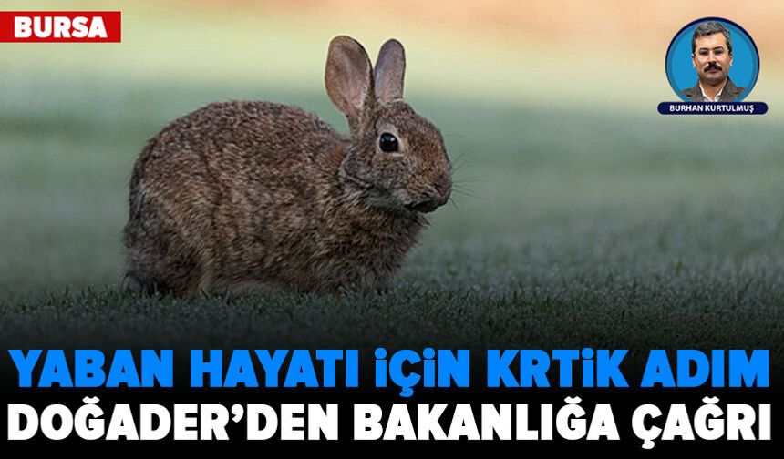 Doğader’den yaban hayatına müdahale tepkisi: “Kıyımı değil, yaşamı savunuyoruz”