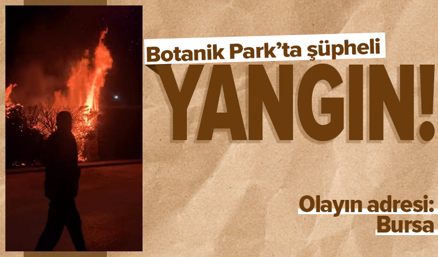 Sebepsiz yere ateşe verilen ağaç itfaiyeyi harekete geçirdi