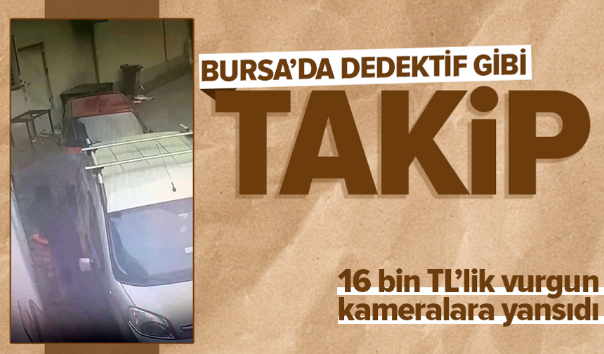 Araç faresi yakayı ele verdi